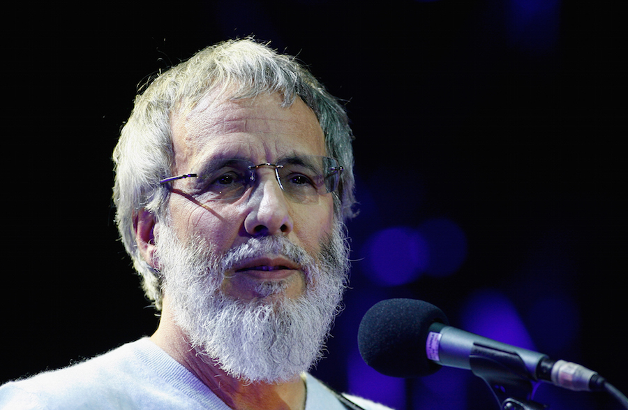 cat stevens 005