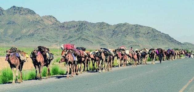 إلى أين كانت رحلة الشتاء والصيف