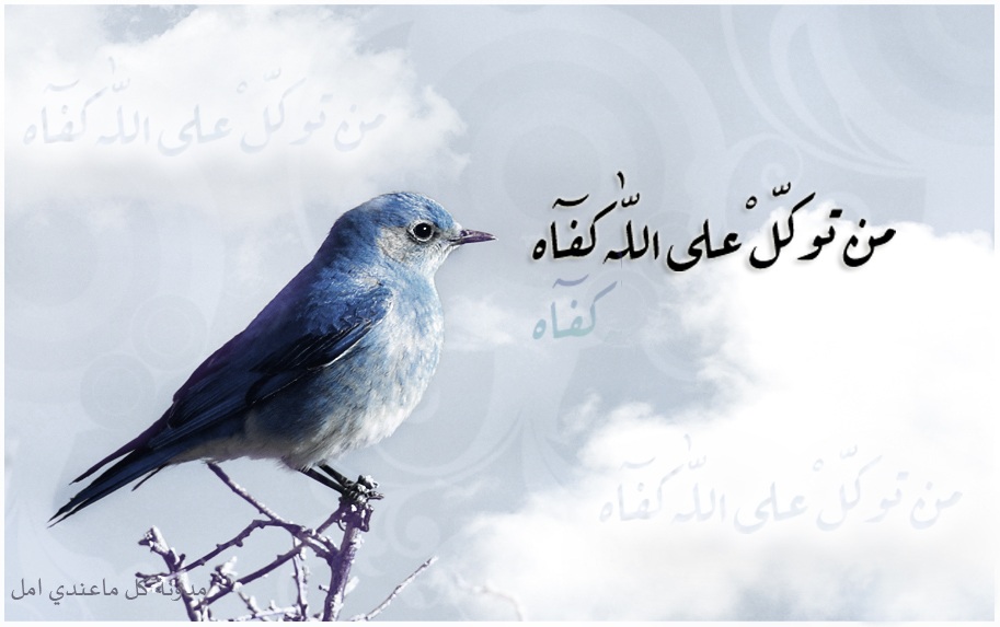 من توكل على الله